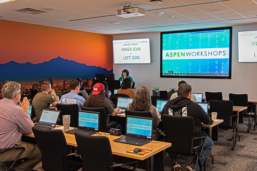 Aspen Workshops